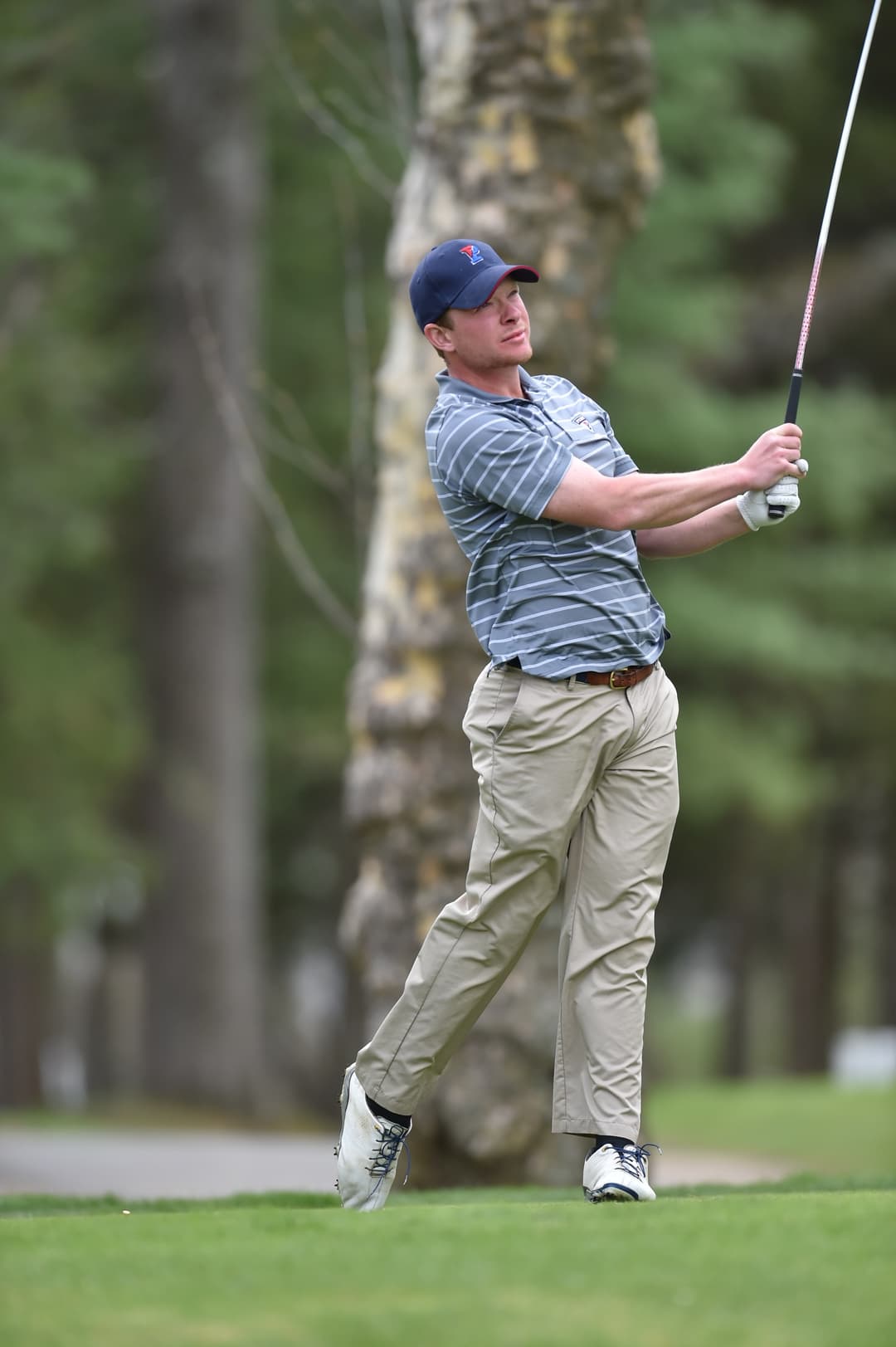 Austin Powell, Founder of AP Stats Sports