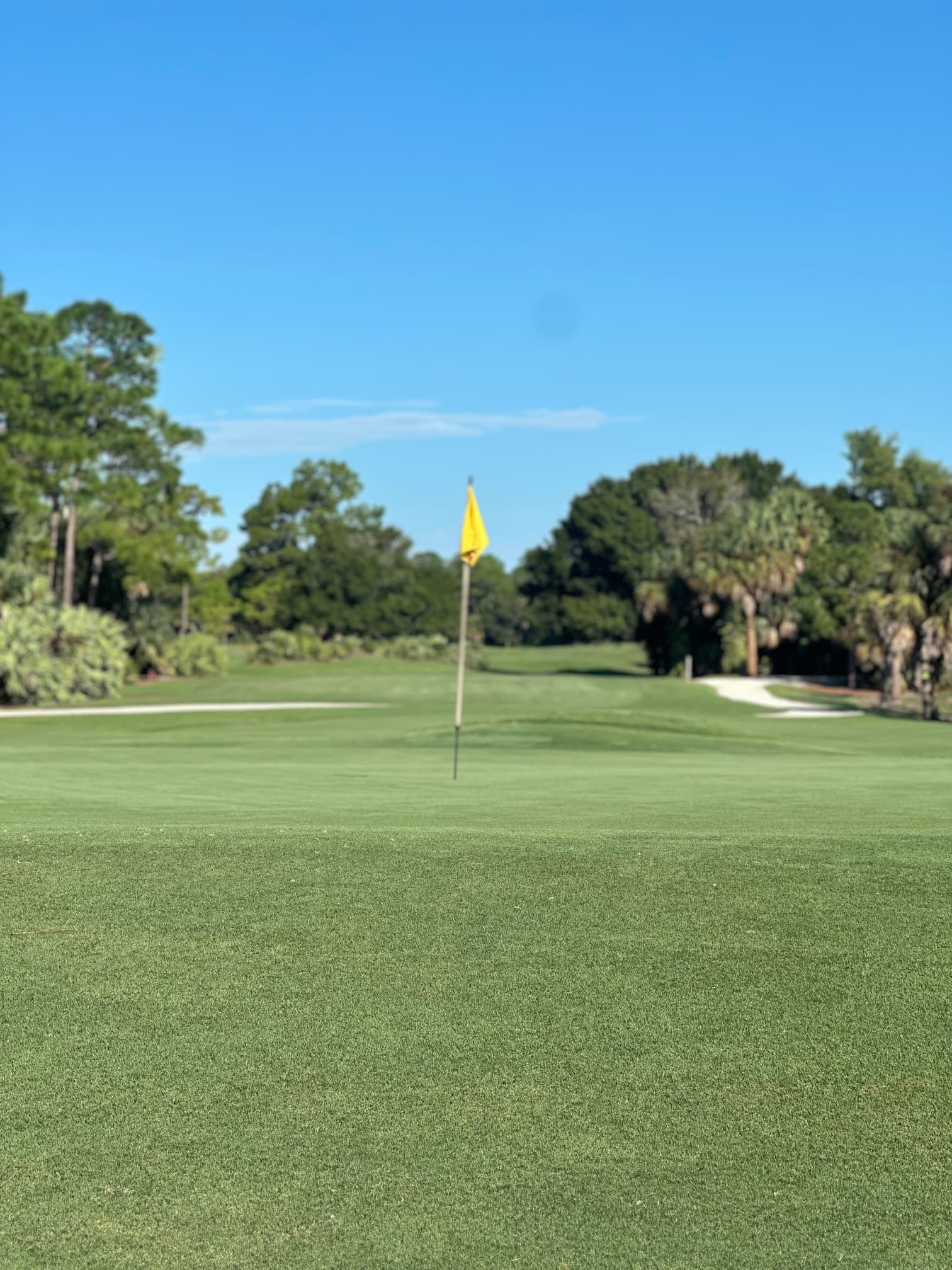 Pin flag on a manicured green