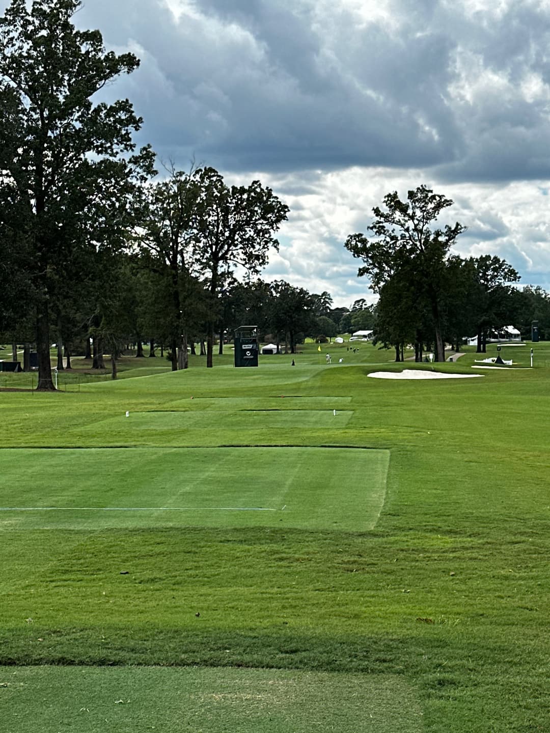 Pristine green with flagstick and course landscape